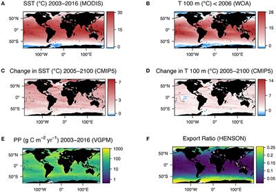 The Sensitivity of Subsurface Microbes to Ocean Warming Accentuates Future Declines in Particulate Carbon Export